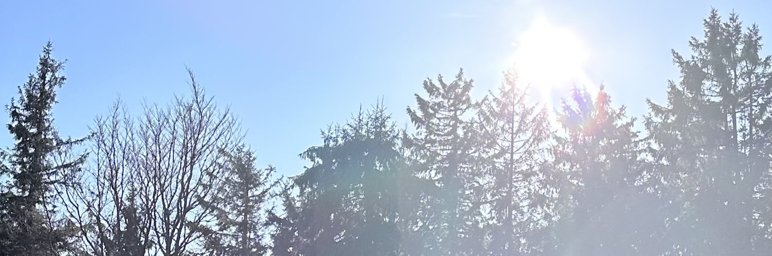 JulienIDEL's profile banner image