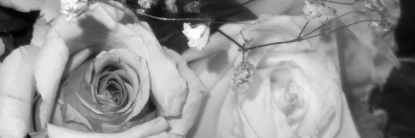 ᴍᴀɴᴅᴏ banner