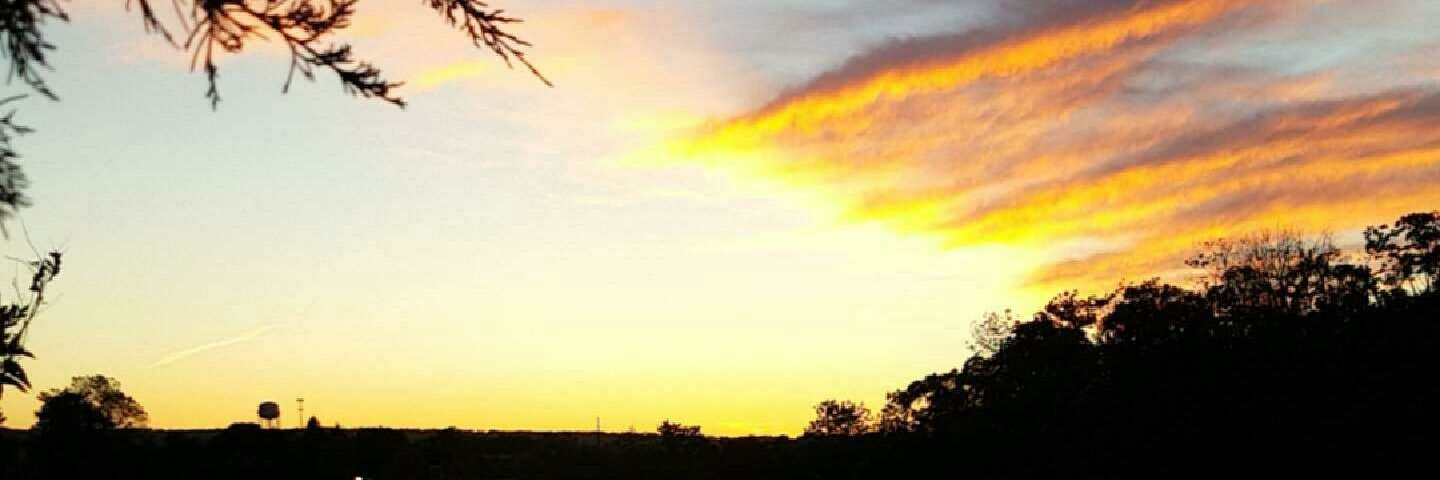 WultahGuya's profile banner image