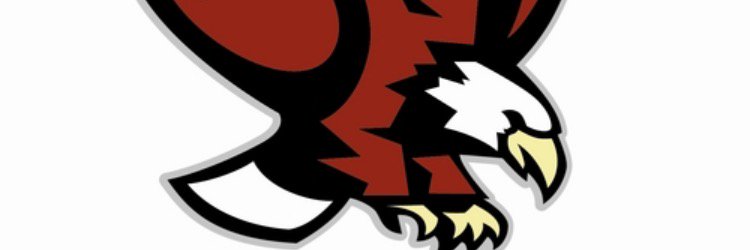 FDHSAmbassadors's profile banner image