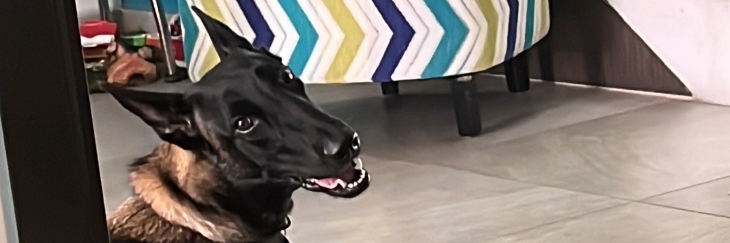 Lalberto98's profile banner image