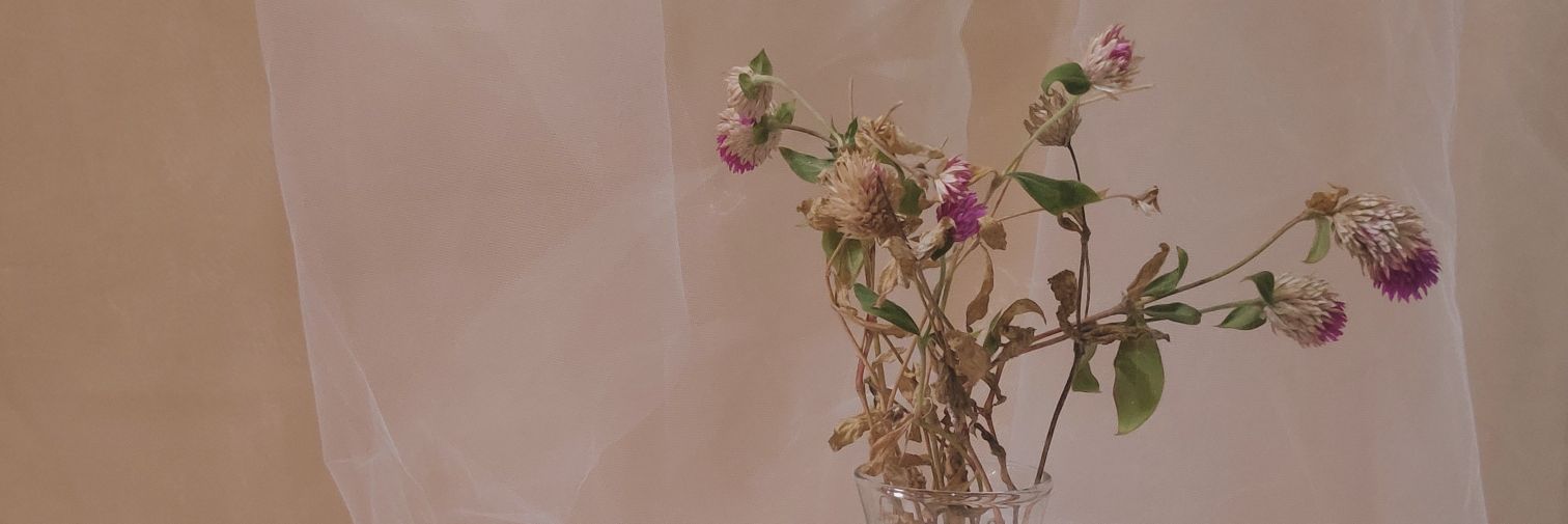 boncheur's profile banner image