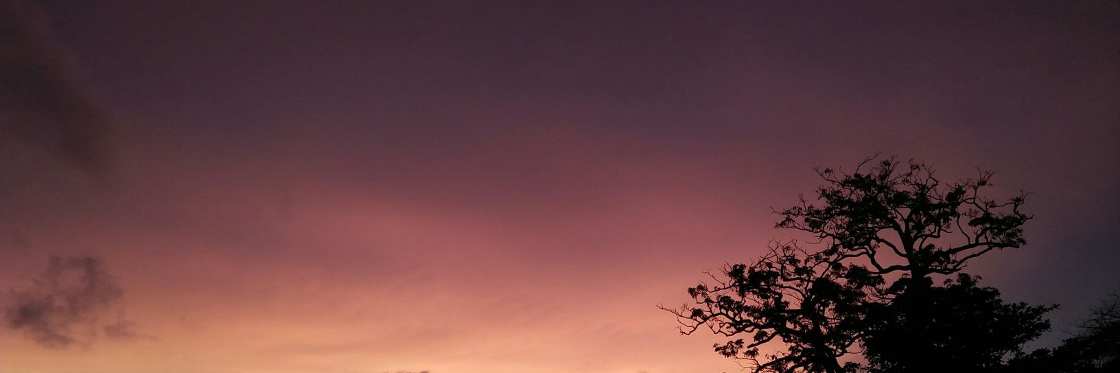 ___SandyMan___'s profile banner image