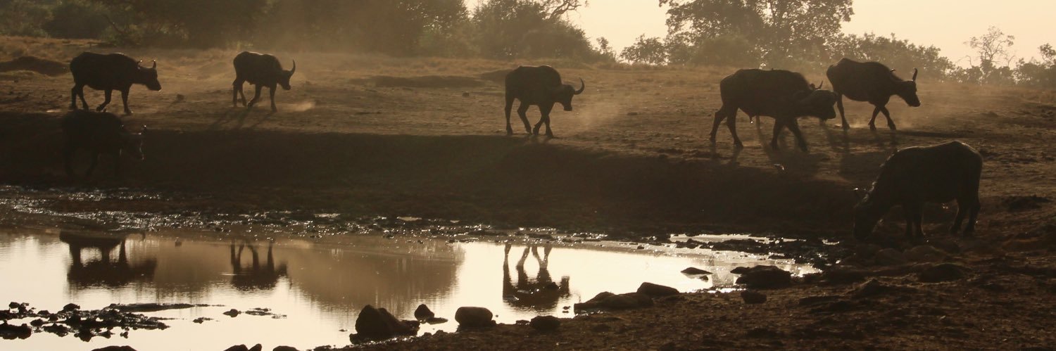 Nathan C. Perry banner