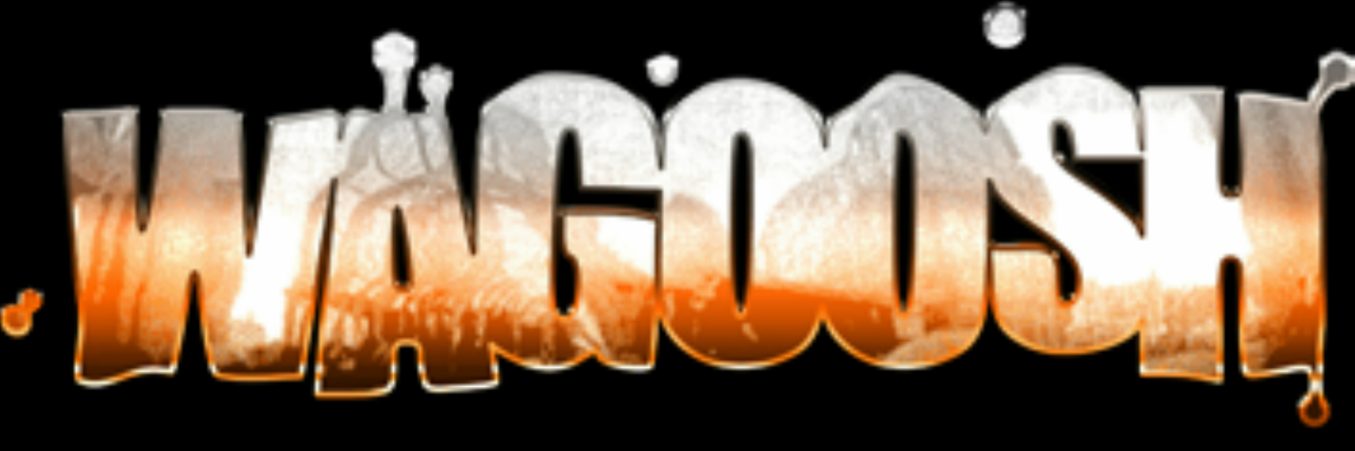TeamWagoosh's profile banner image