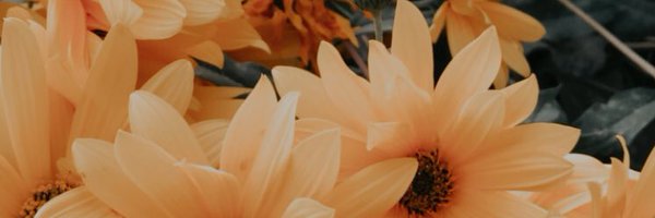 vivalafuckoff Profile Banner