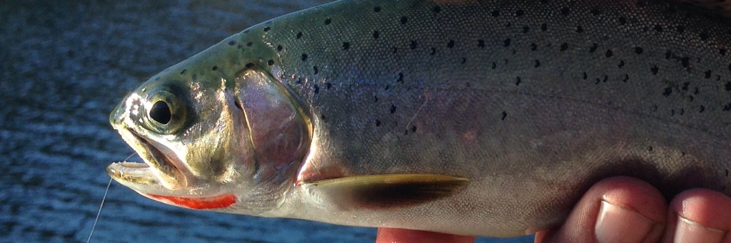 TenkaraFishing's profile banner image