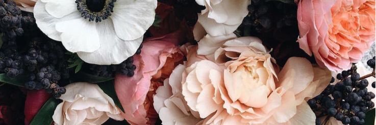 linseymjohnson's profile banner image