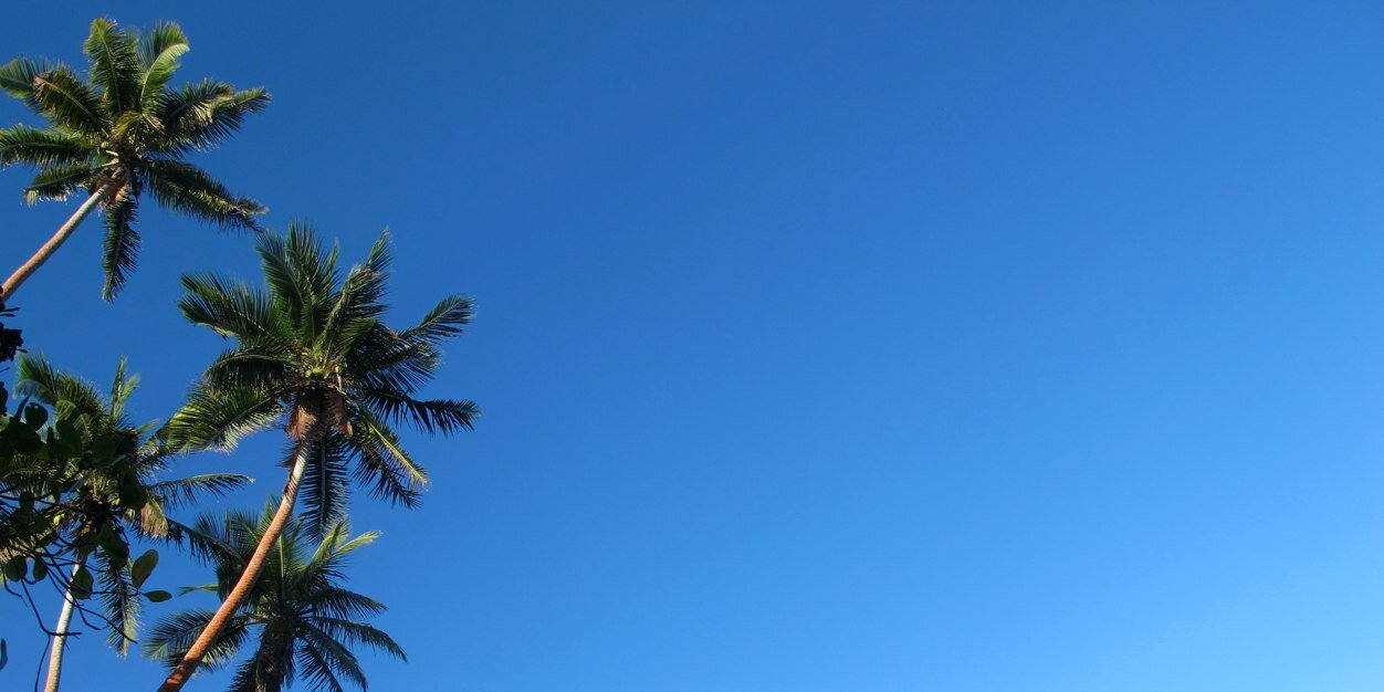 sarahhadler's profile banner image