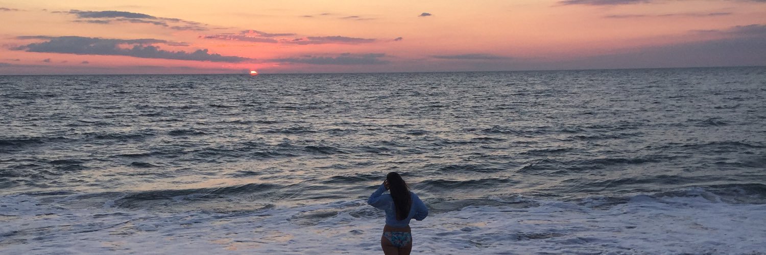dariansarter's profile banner image