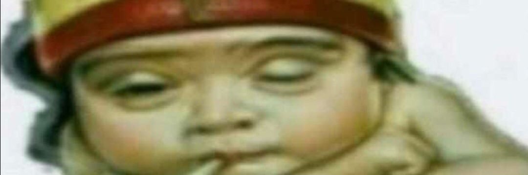 leidaumset's profile banner image