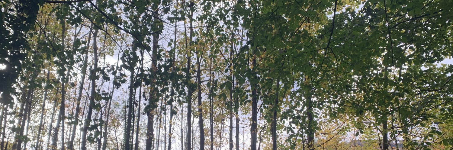 mitchellyates1's profile banner image