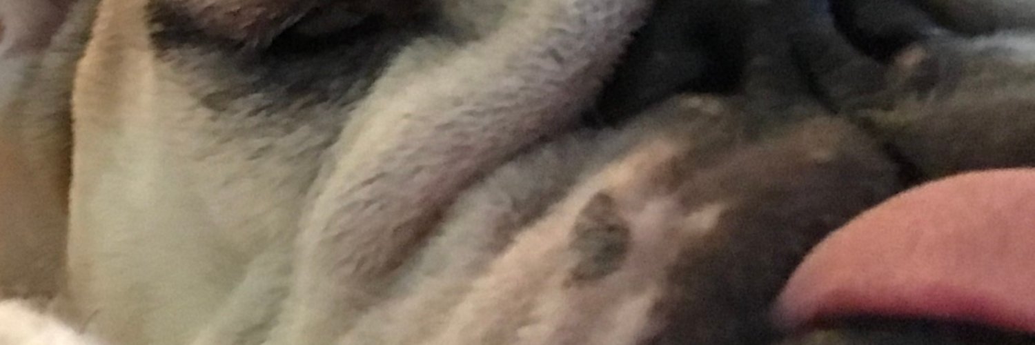 B banner
