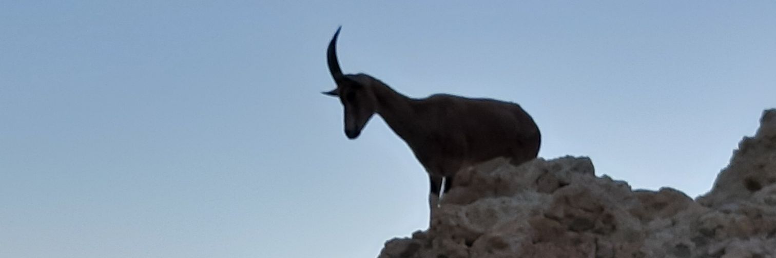 Martintencaat's profile banner image