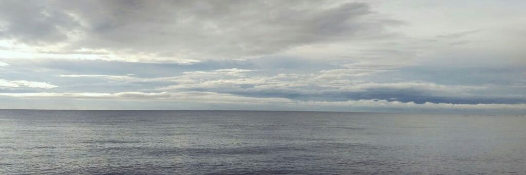 estrellaDLA's profile banner image