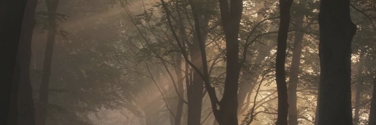 alrooo71_'s profile banner image