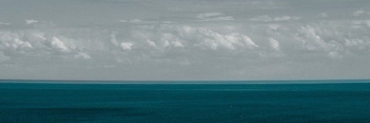 fragaanicole's profile banner image