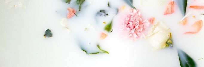 katieivey_'s profile banner image
