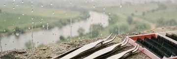 parisamns1's profile banner image