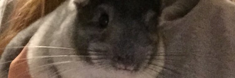 ajhydrick's profile banner image