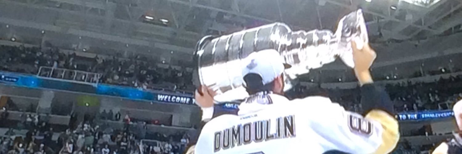 Tiger Hockey banner