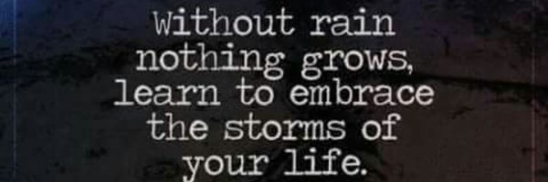 lynnettelowe6 Profile Banner