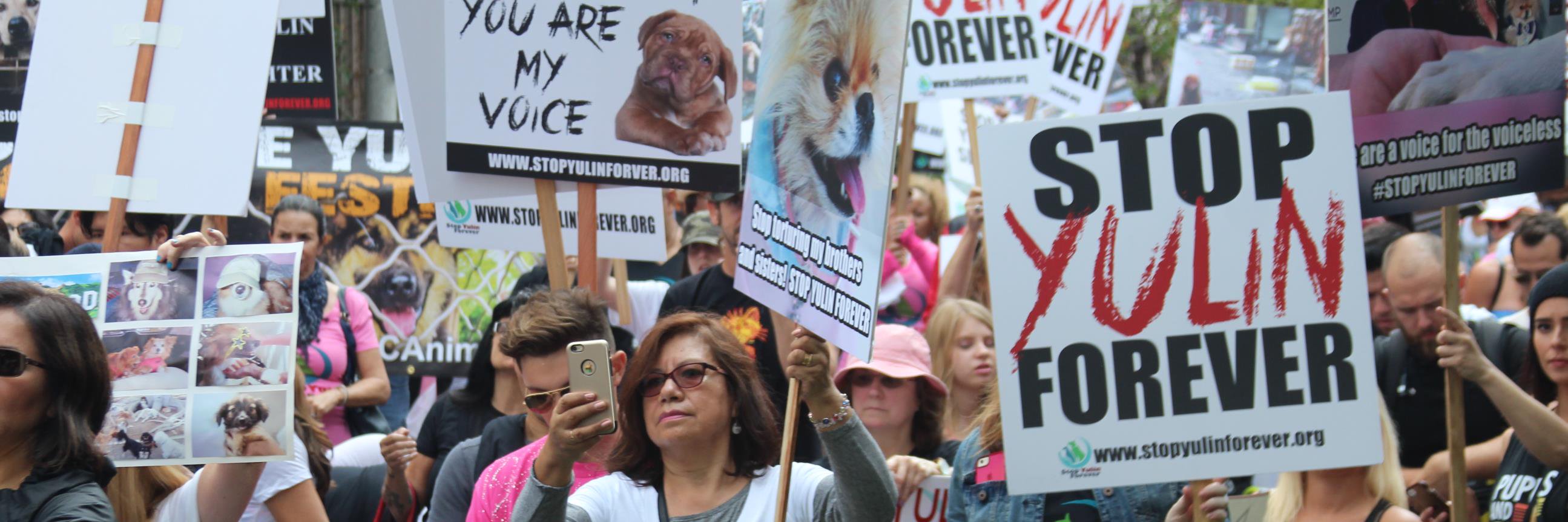 STOP ANIMAL CRUELTY! banner