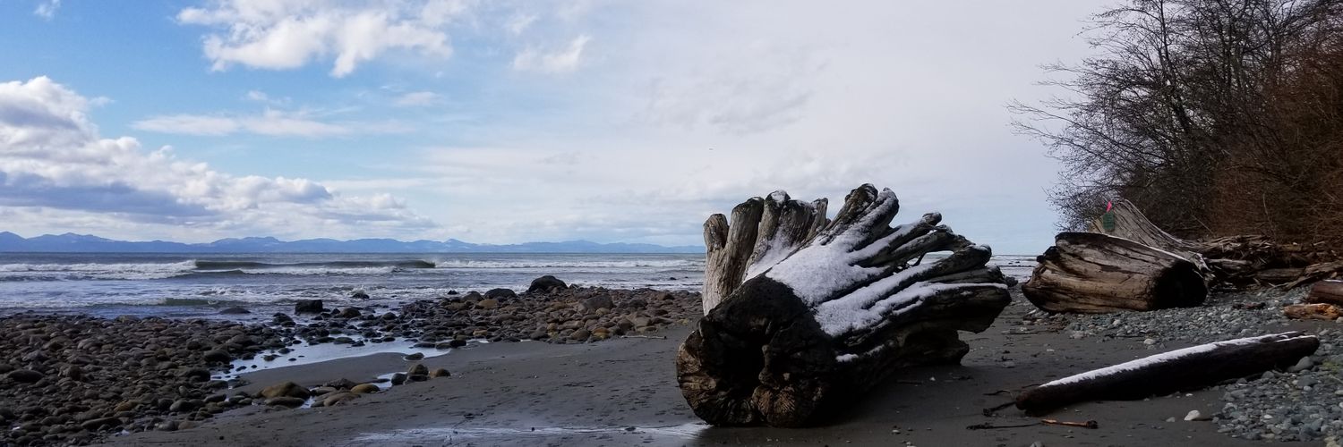 Mandy Marchak banner