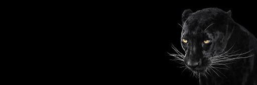 __TripleJ's profile banner image