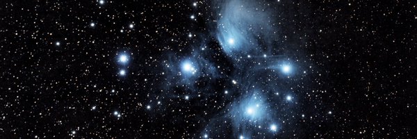 parammo Profile Banner