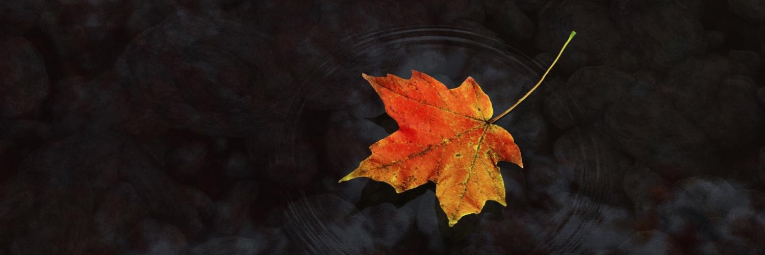 CamBarnard's profile banner image