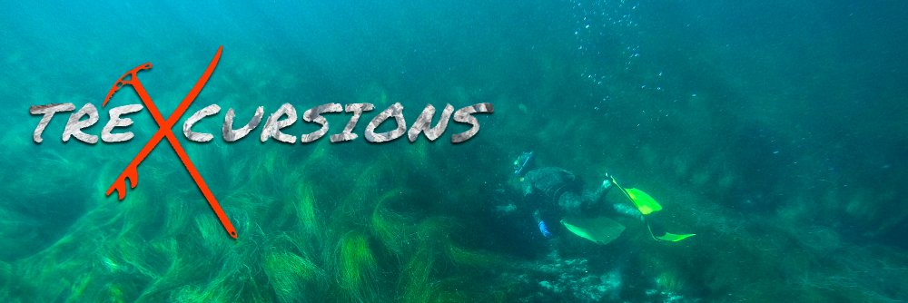 trexcursions's profile banner image