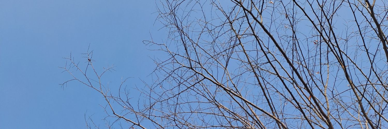 happpy_luck's profile banner image
