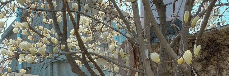 ؘ banner