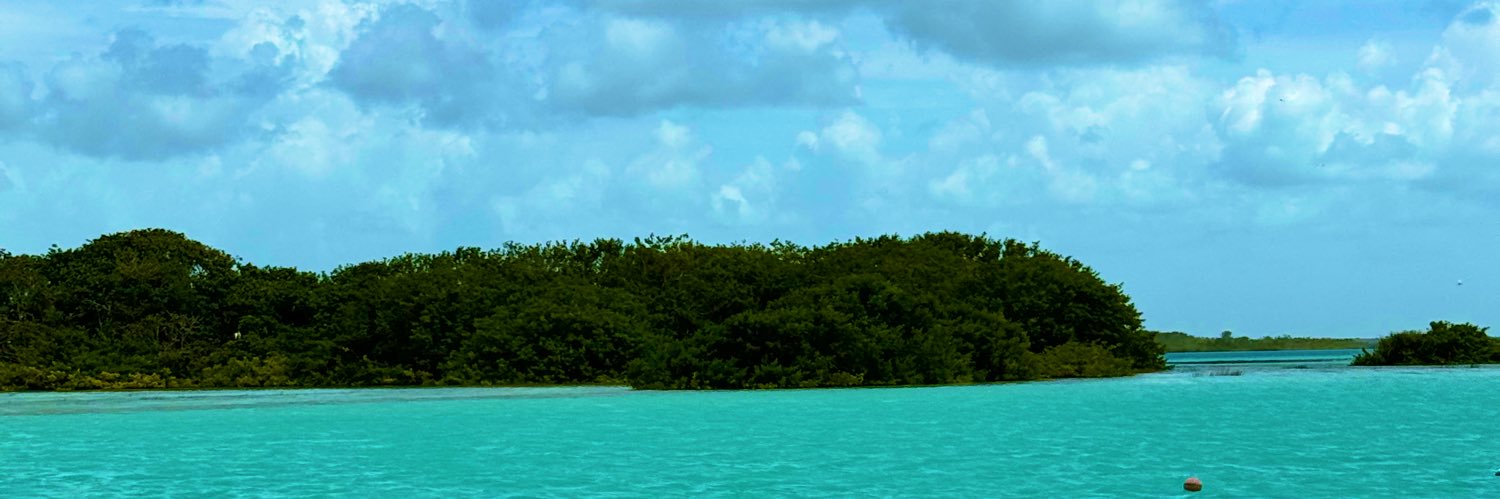 OlliverZ's profile banner image