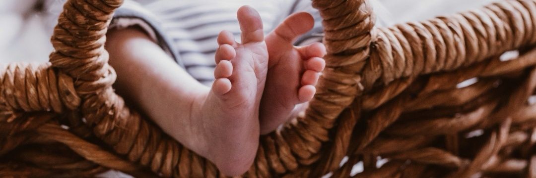 Cat à strophe 🙈 banner