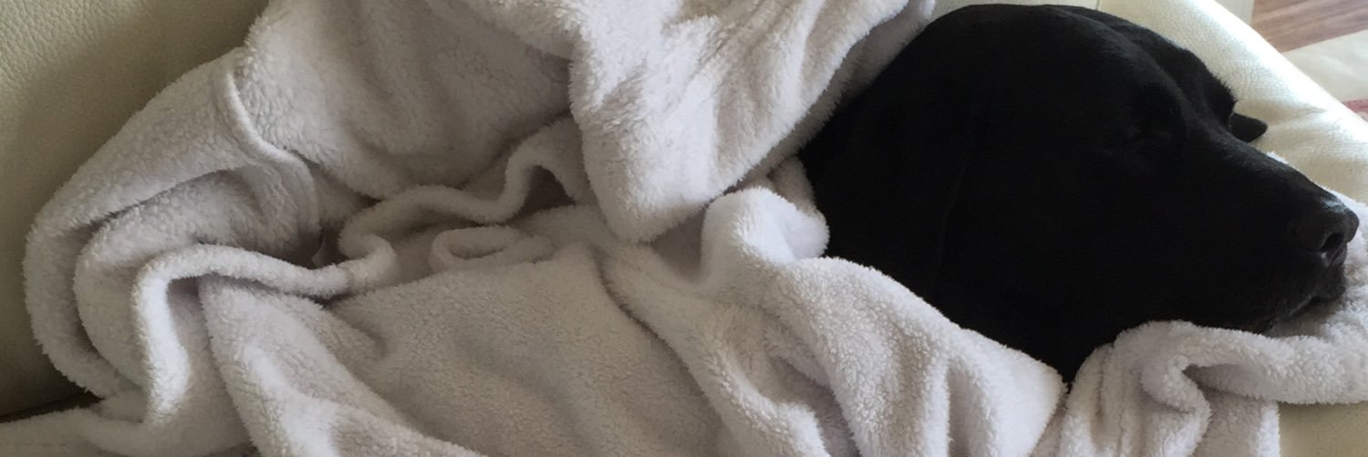 laura_jayne97's profile banner image