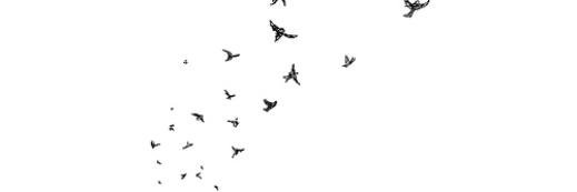 igrcs_'s profile banner image