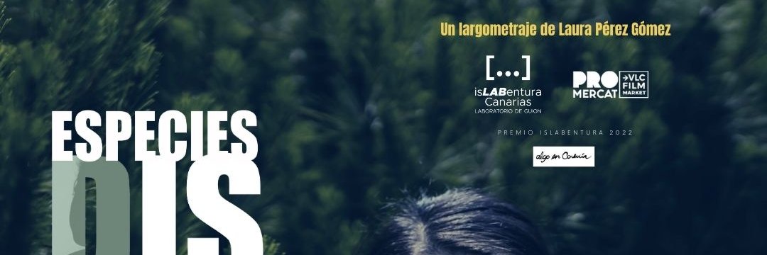 Laura Pérez Gómez banner