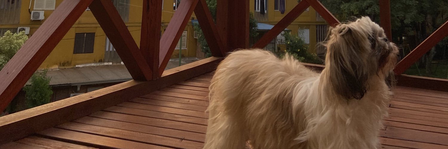 rocio_gruber's profile banner image