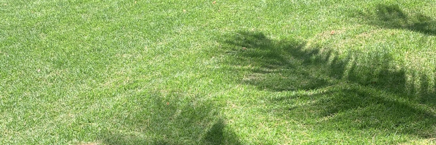 BrooklynTollive's profile banner image