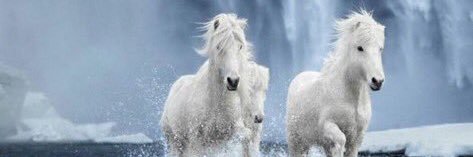 ڪبــ⁴⁴ـࢪياء إنسـٰٖـ๋͜ــان ✨ banner