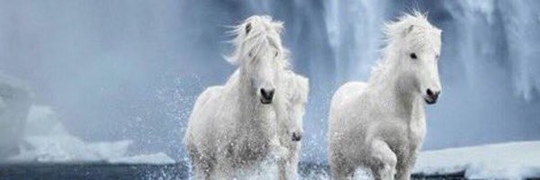 fhf140 Profile Banner