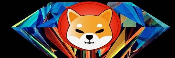 HodlCryptos's profile banner image