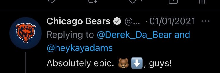 Derek 🐻🔽 banner