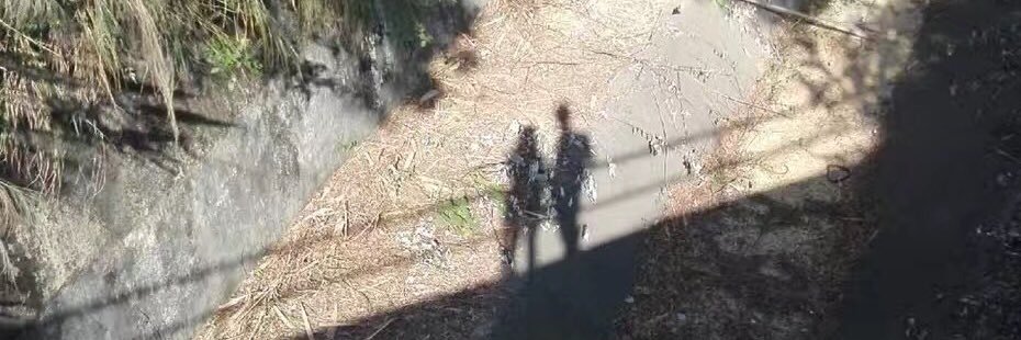 Peanut🇨🇳 banner