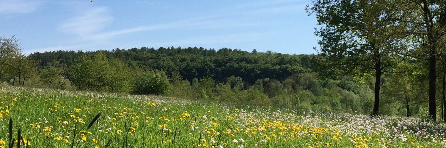 ANBehler's profile banner image