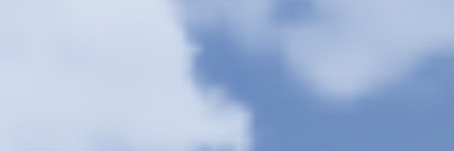 Neng banner