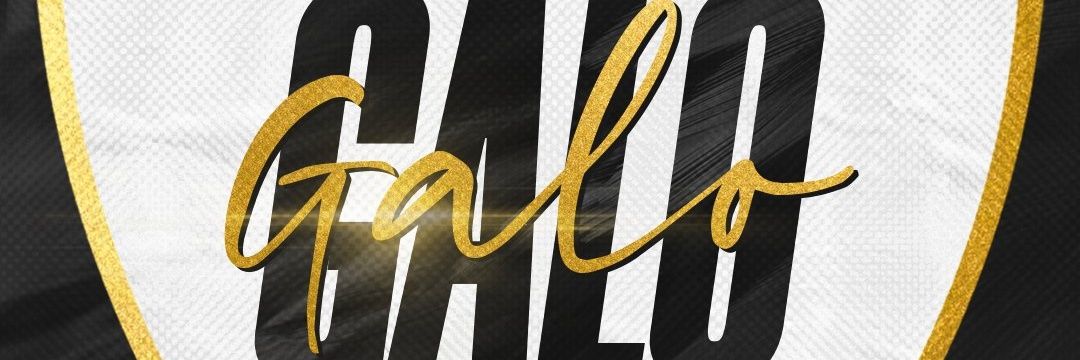 EvertonDlsouza's profile banner image