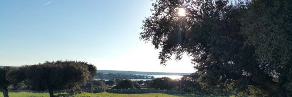 CarmendelArco1 Profile Banner